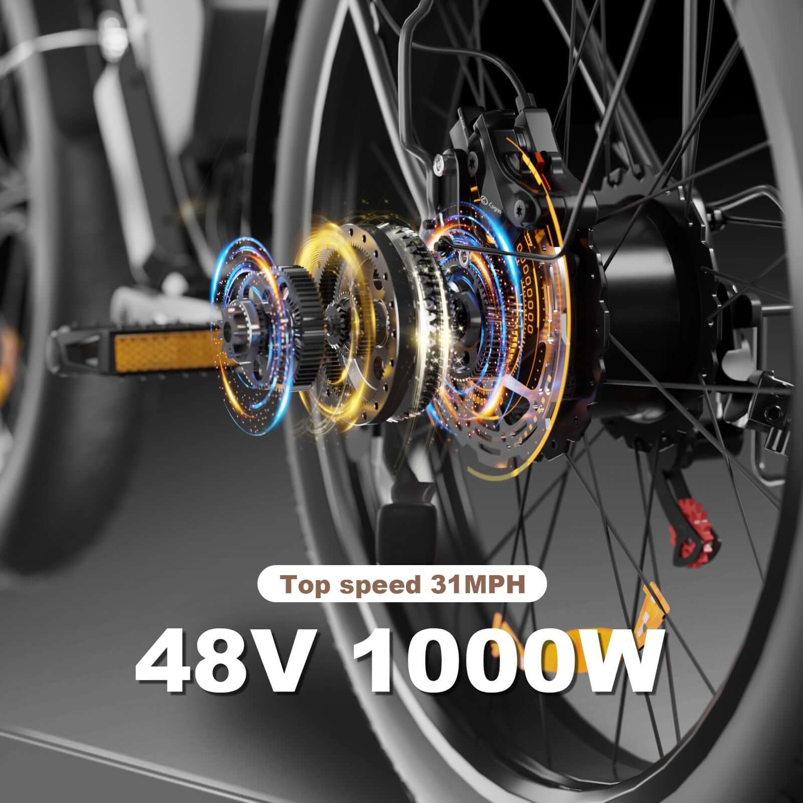  1000w Electric Bike