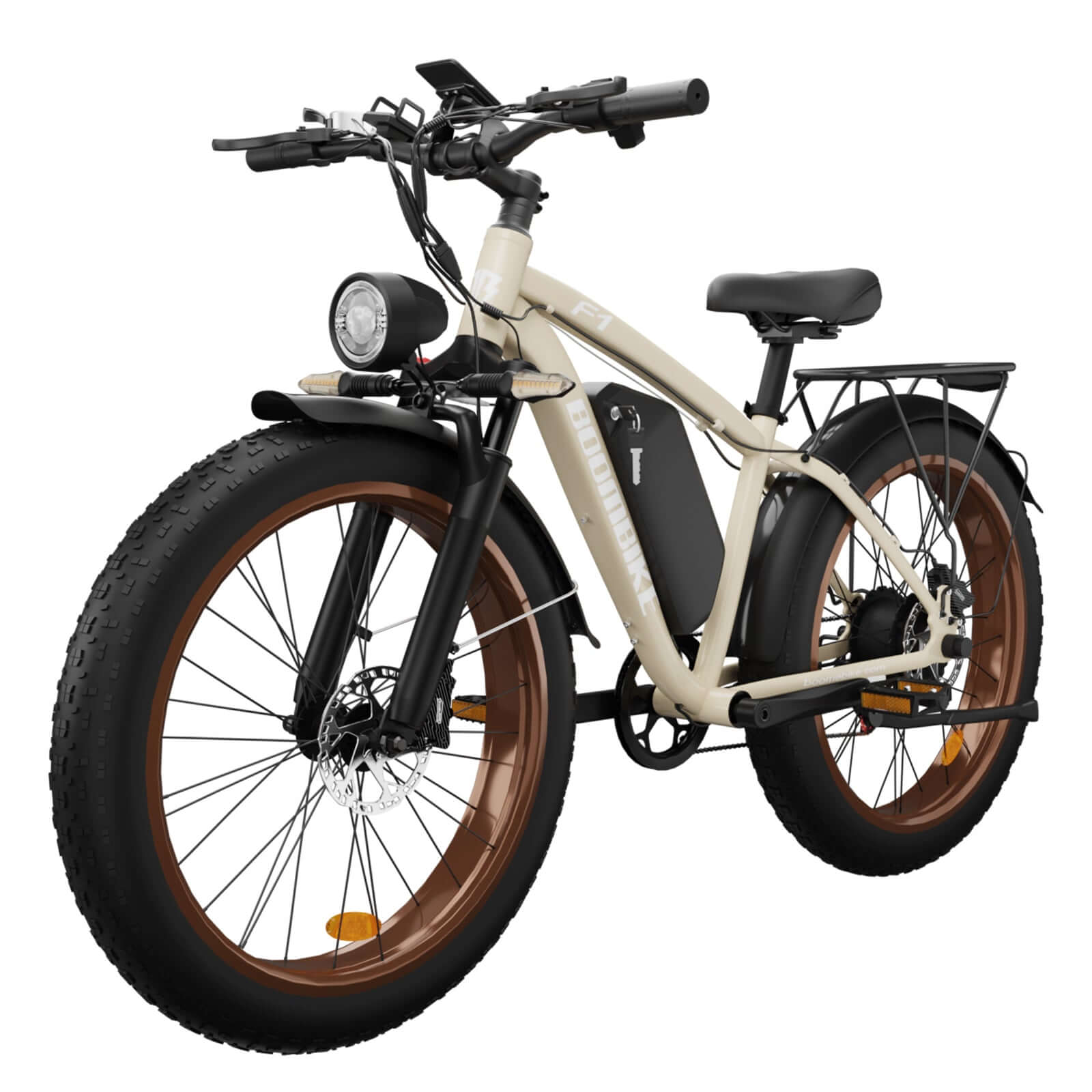  1000w Electric Bike