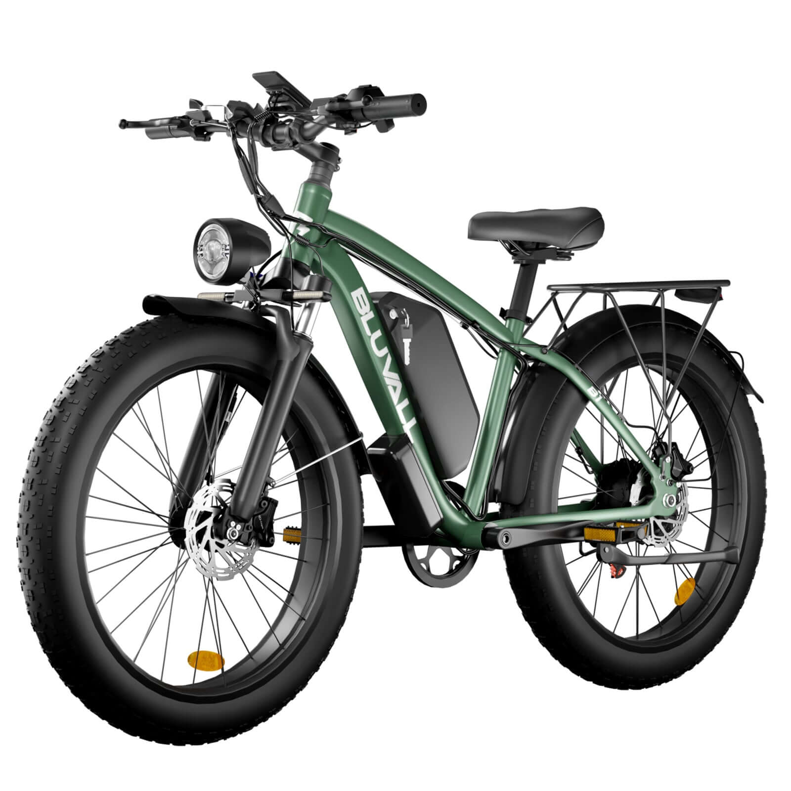  1000w Electric Bike