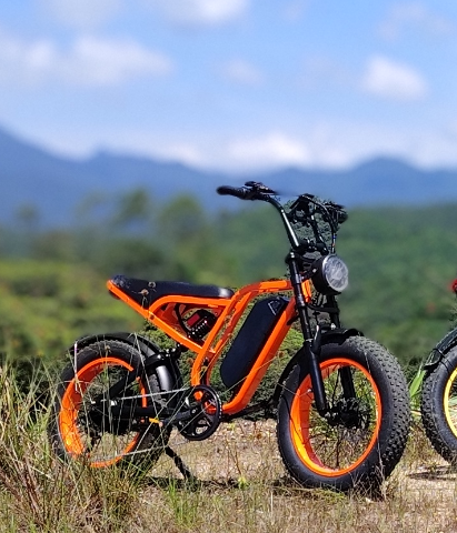 Bluvall SU8 Moped Style Ebike 32mph 80miles full suspension